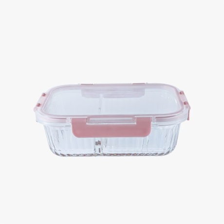 Divided Lunch Box with Glass Containers
