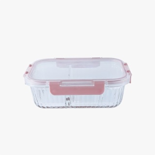 Divided Lunch Box with Glass Containers