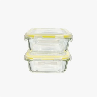 Glass Lunch Box Set of 2