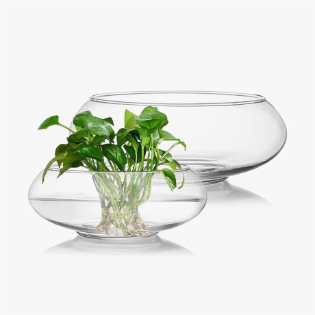 glass plant pots