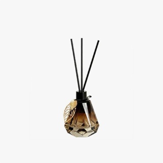 100ml Glass Aromatherapy Diffuser Bottle