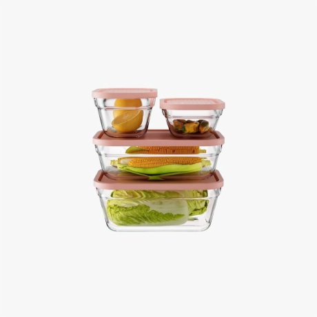 Borosil Glass Lunch Box