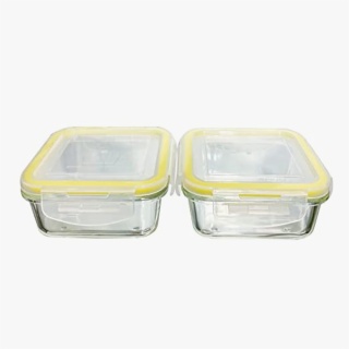 glass lunch box set of 2