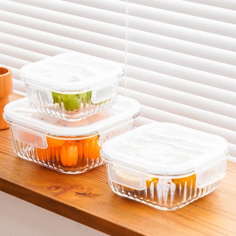 Modern Square Glass Lunch Bowls