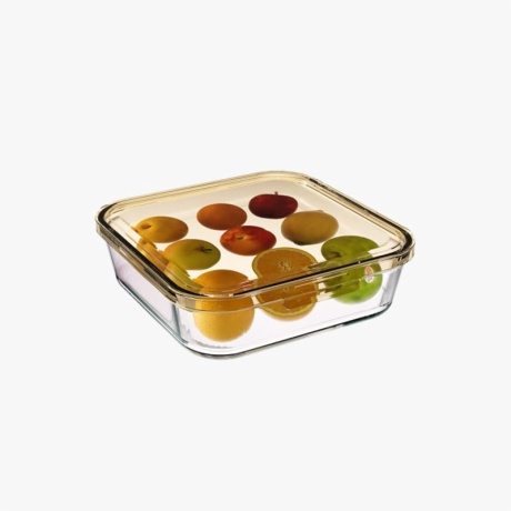Borosil Glass Lunch Box
