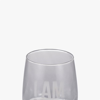 Unique Stemless Beer Glass