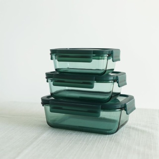 Borosilicate Glass Bento Lunch Box