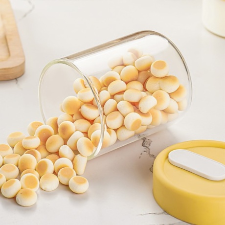 Borosilicate Glass Snack Jars