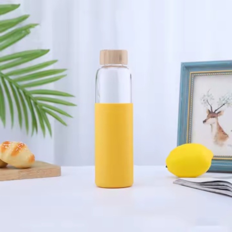 Borosilicate Glass Water Bottle with Silicone Sleeve