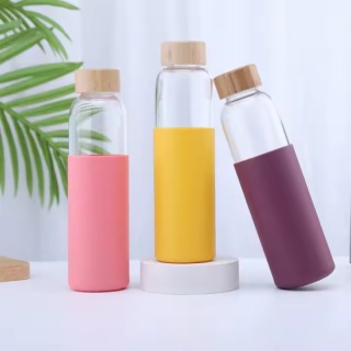 Borosilicate Glass Water Bottle with Silicone Sleeve
