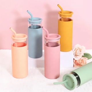 Wholesale 500ml 20oz Glass Tumbler Glass Water Bottle with Straw Silicone  Protective Sleeve Bamboo Lid - BPA Free - China Glass Water Bottle and Glass  Botlle price
