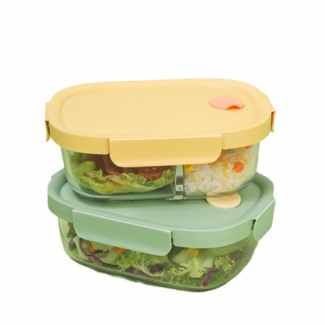 Glass Lunch Storage Box