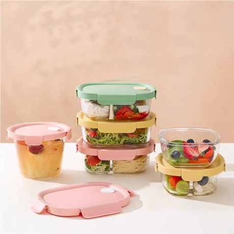 Glass Lunch Storage Box