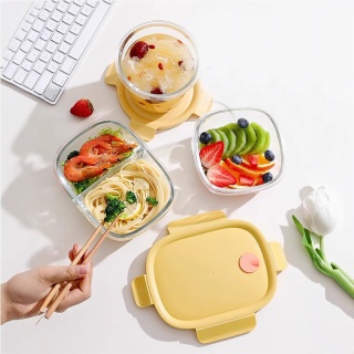 Glass Lunch Storage Box