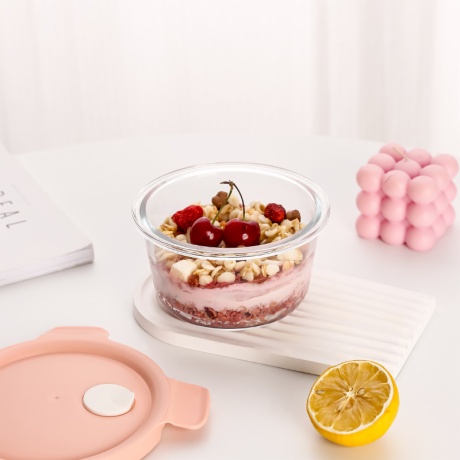 Glass Lunch Storage Box