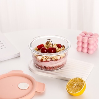 Glass Lunch Storage Box