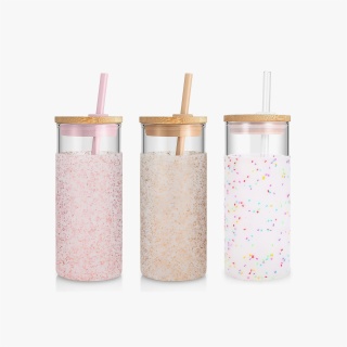 Glass Water Bottle with Silicone Sleeve and Straw