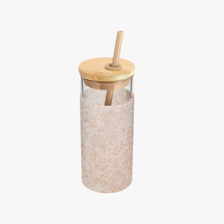 Glass Water Bottle with Silicone Sleeve and Straw