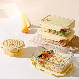 High Borosilicate Glass Compartment Bento Lunch Box