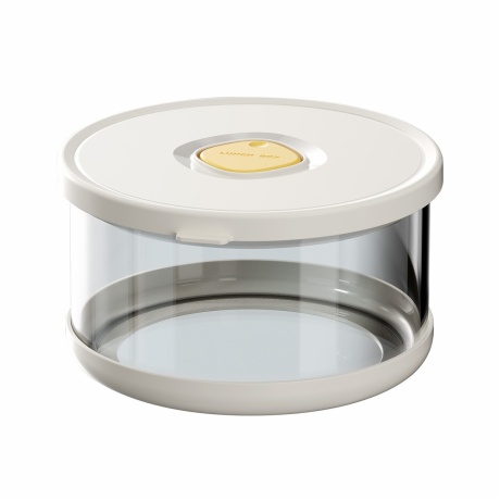 Lunch Box Borosilicate Glass Bowl