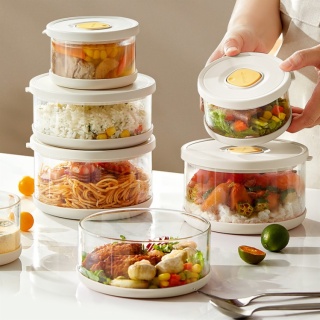 Lunch Box Borosilicate Glass Bowl