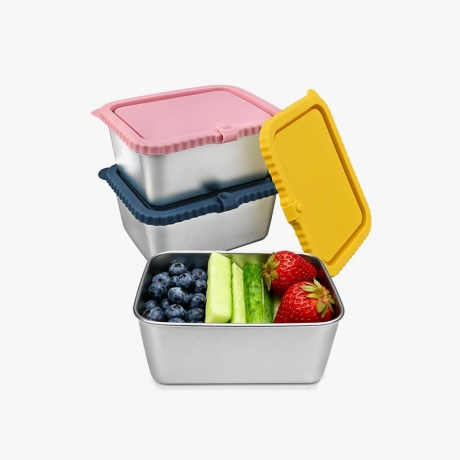 Stainless Steel Containers with Silicone Lids